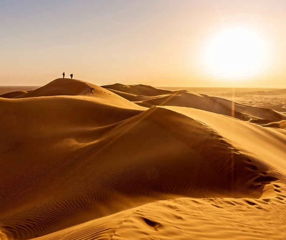 Embark on a once-in-a-lifetime adventure with Desert Dream Tours and experience the breathtaking beauty of the Empty Quarter Desert — where golden sands meet endless horizons