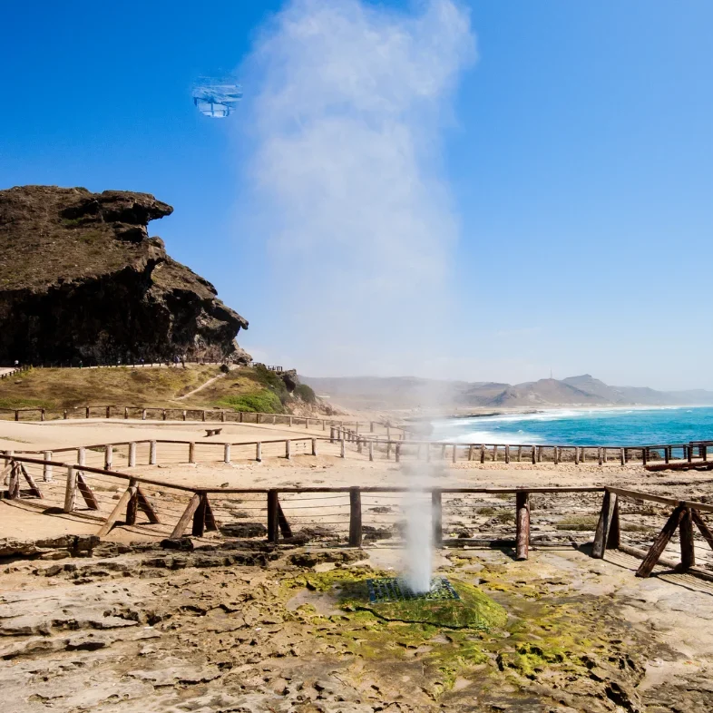 Embark on a once-in-a-lifetime adventure with Desert Dream Tours and experience the breathtaking beauty of the Empty Quarter Desert — where golden sands meet endless horizons