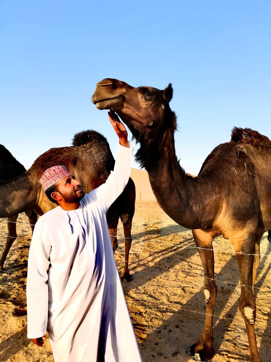 Embark on a once-in-a-lifetime adventure with Desert Dream Tours and experience the breathtaking beauty of the Empty Quarter Desert — where golden sands meet endless horizons