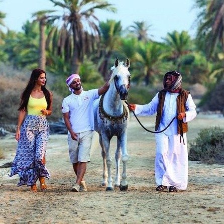 Bahrain horse riding experience