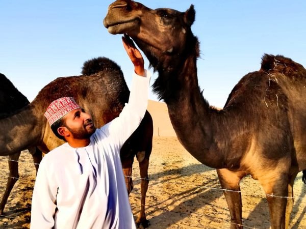 Embark on a once-in-a-lifetime adventure with Desert Dream Tours and experience the breathtaking beauty of the Empty Quarter Desert — where golden sands meet endless horizons